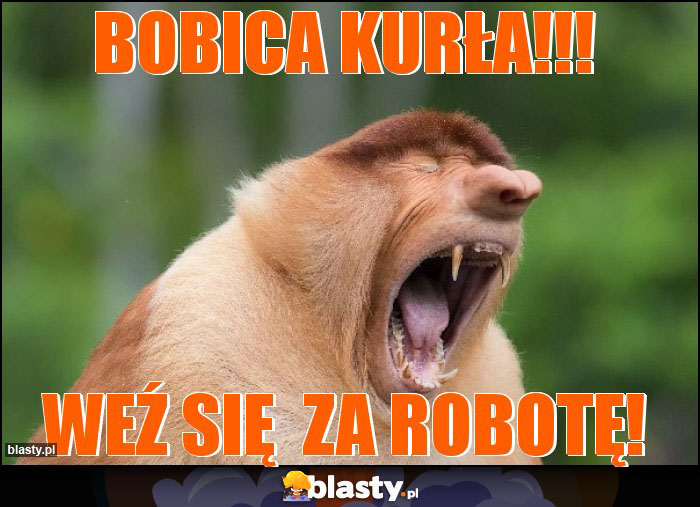 BOBICA KURŁA!!!