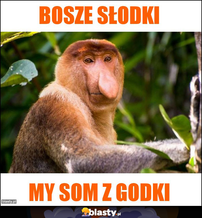 Bosze słodki