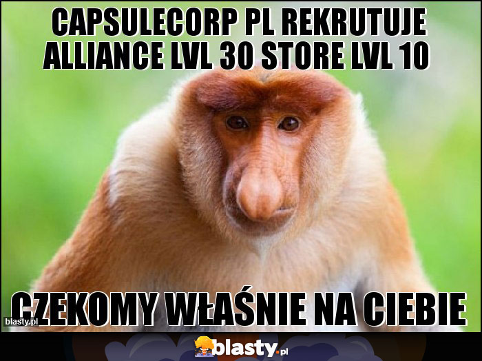 CapsuleCorp pl rekrutuje Alliance lvl 30 store lvl 10