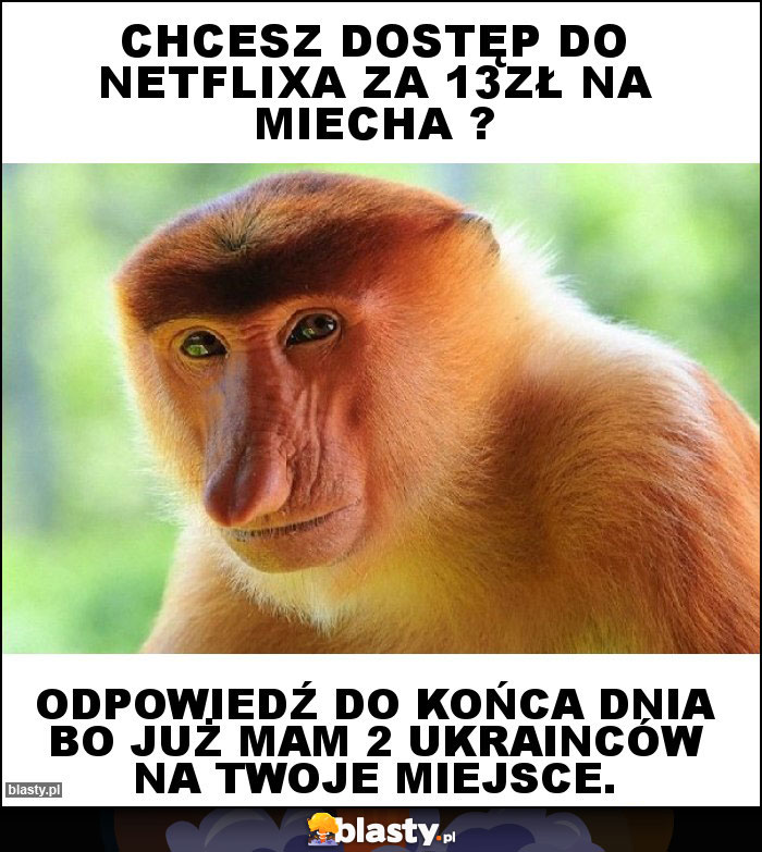 Chcesz dostęp do netflixa za 13zł na miecha ?