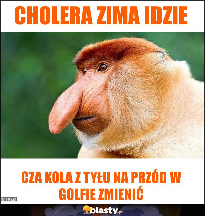 Cholera zima idzie