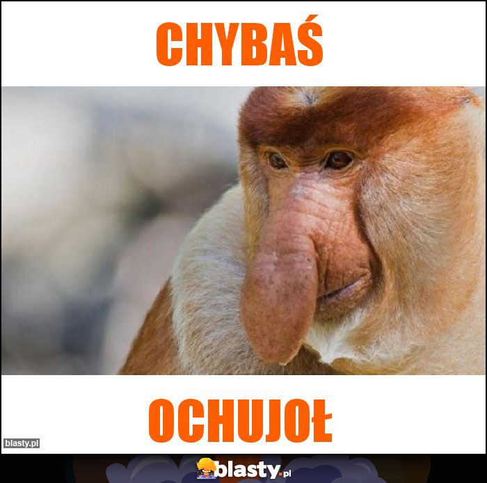 Chybaś