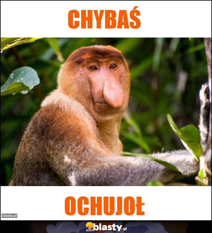 CHYBAŚ