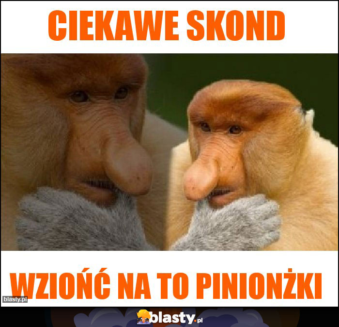 Ciekawe skond