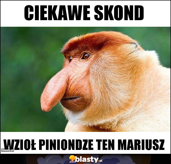 Ciekawe skond