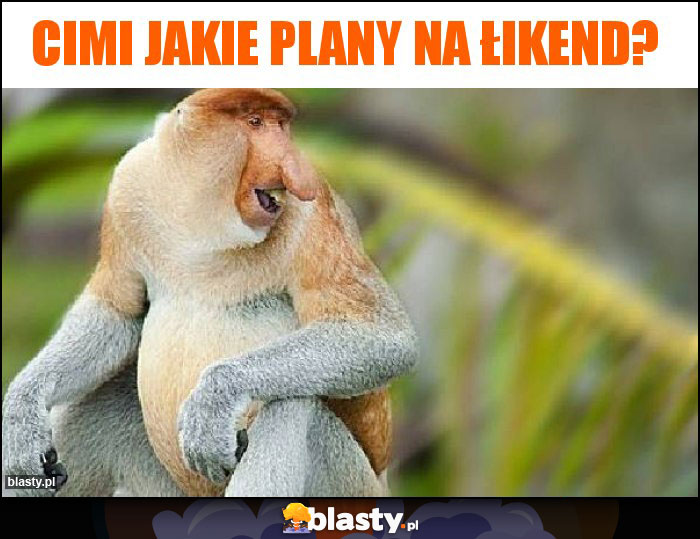 Cimi jakie plany na łikend?