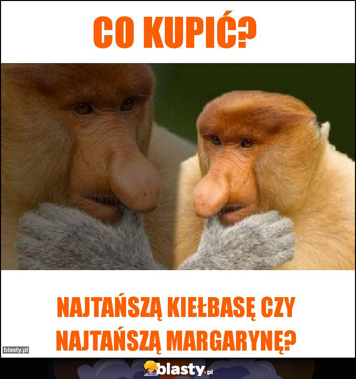 Co kupić?