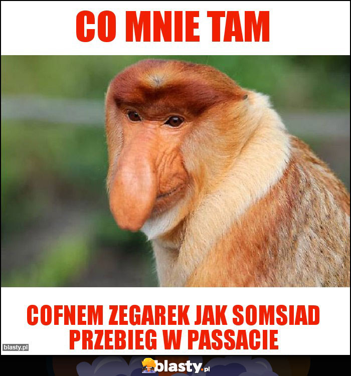 Co mnie tam