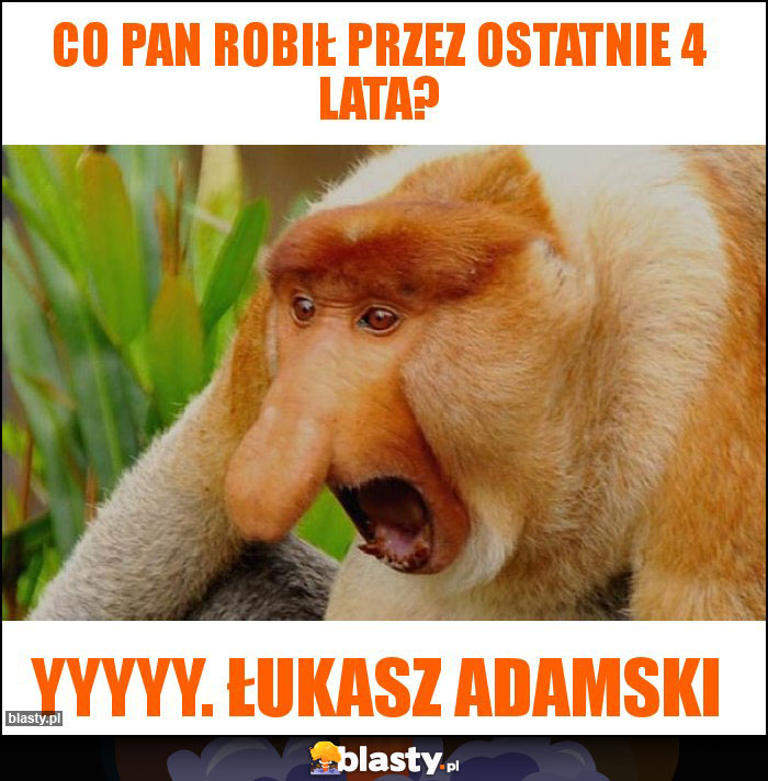 Co Pan robił przez ostatnie 4 lata?