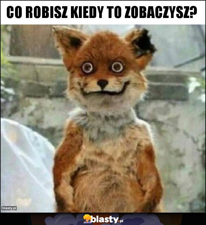 Co robisz kiedy to zobaczysz?