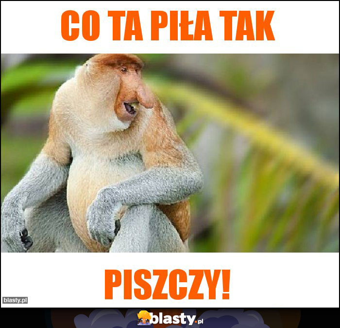 Co ta piła tak