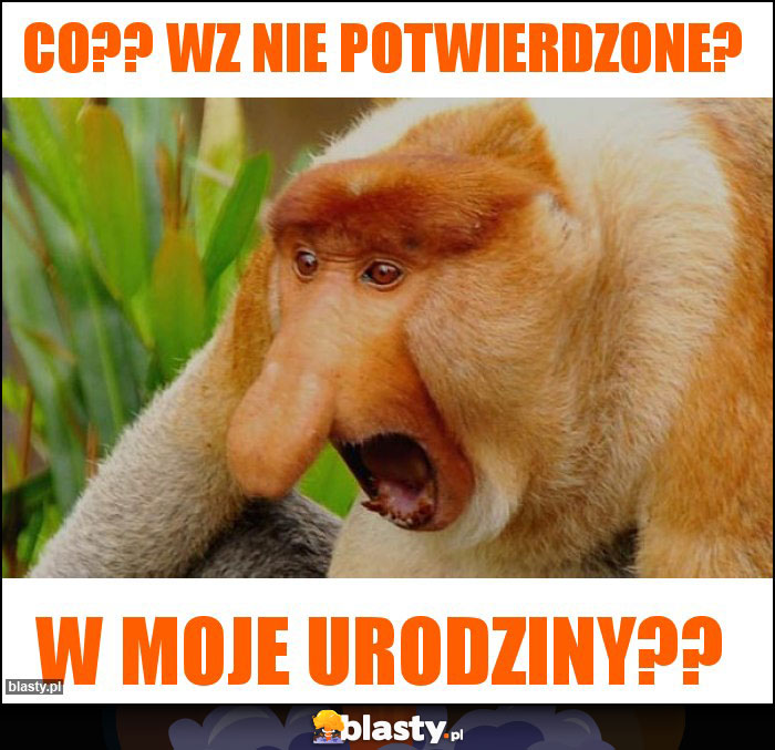 Co?? WZ nie potwierdzone?