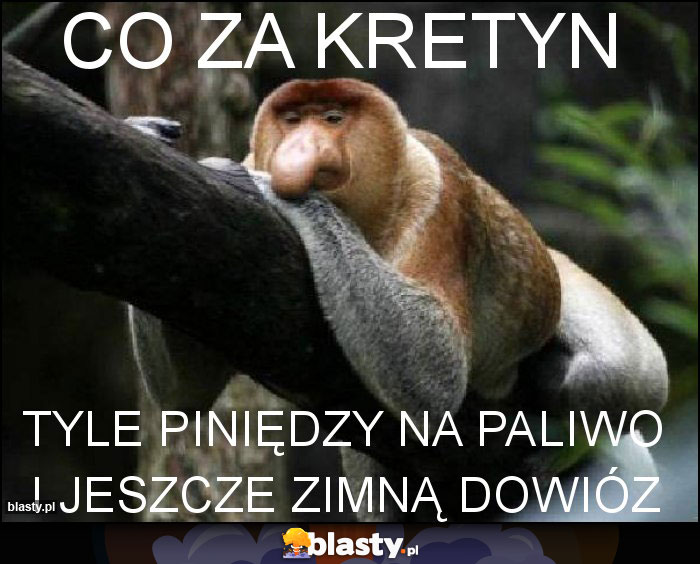 Co za kretyn