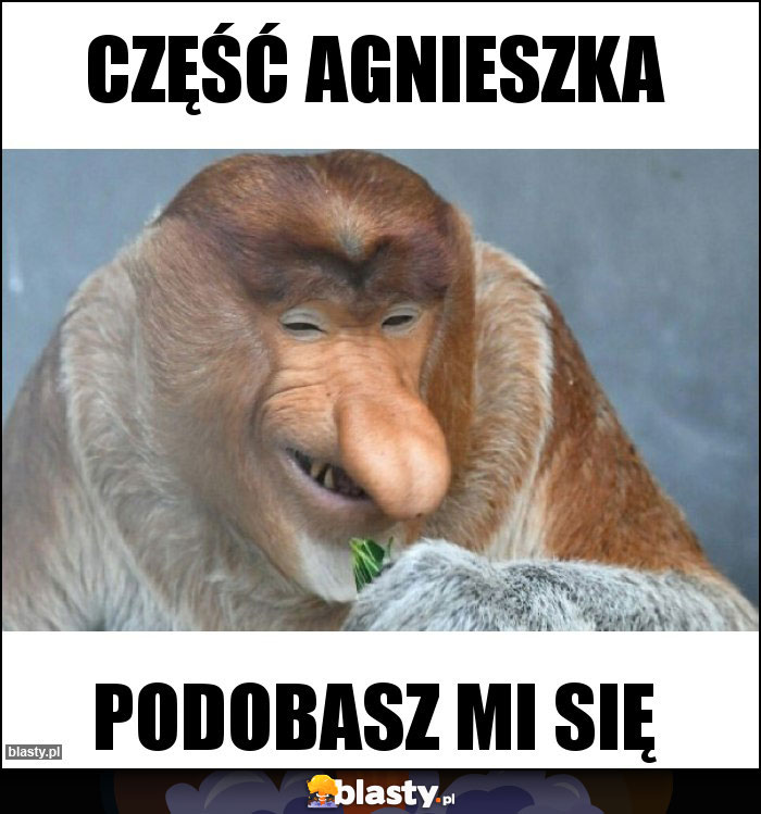 Część Agnieszka