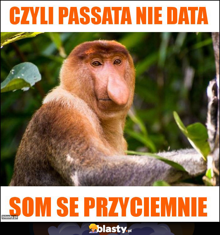 Czyli passata nie data