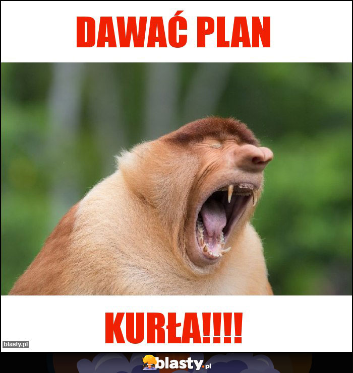 Dawać plan