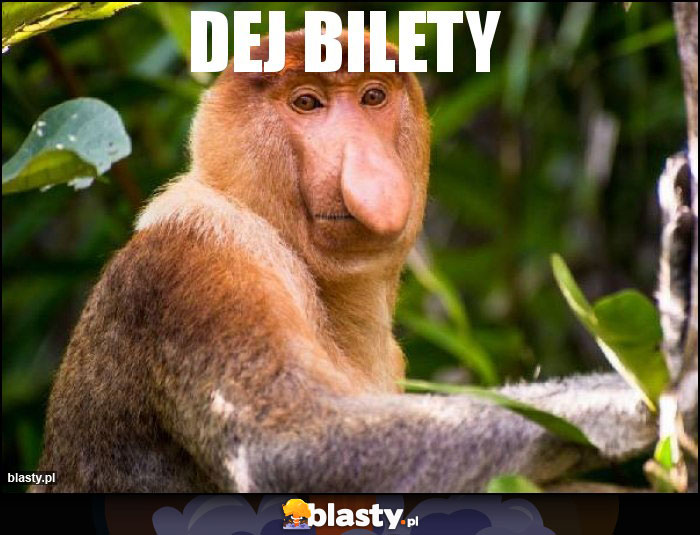 Dej bilety