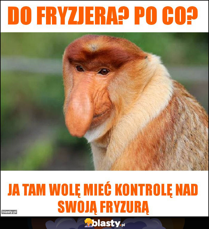 Do fryzjera? Po co?