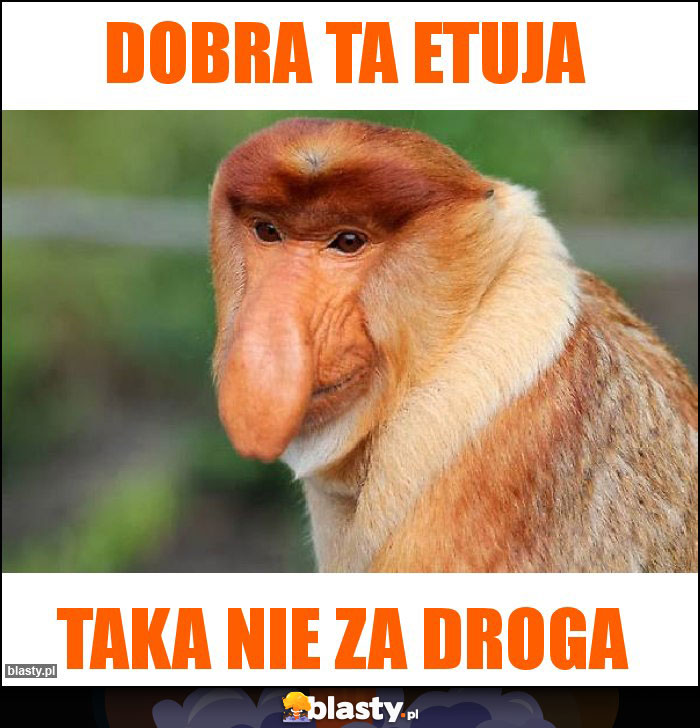 Dobra ta etuja