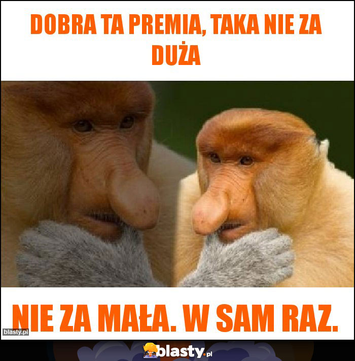 Dobra ta premia, taka nie za duża