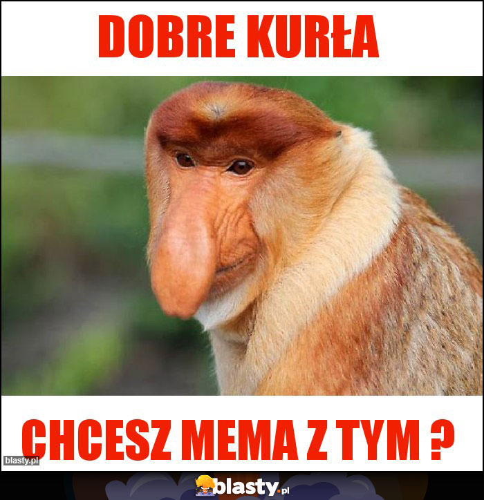 Dobre kurła