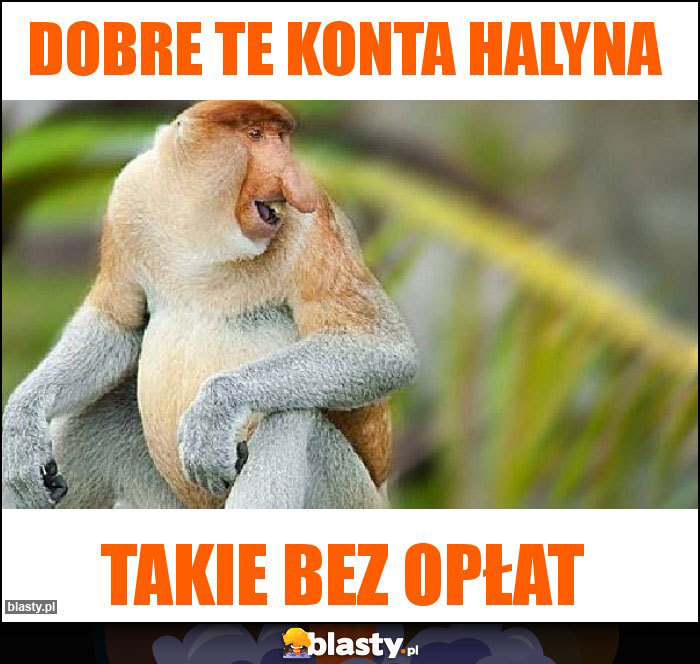 Dobre te konta halyna