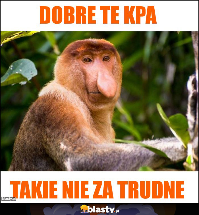 Dobre te KPA