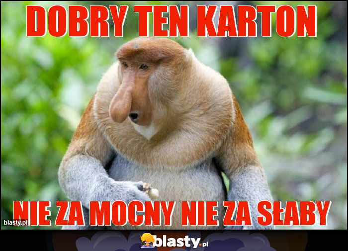 Dobry ten karton