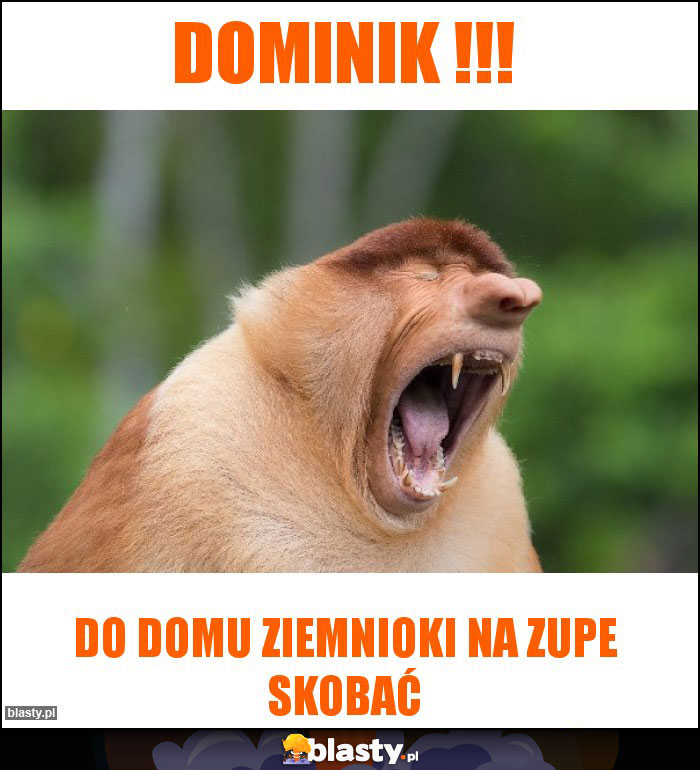 Dominik !!!