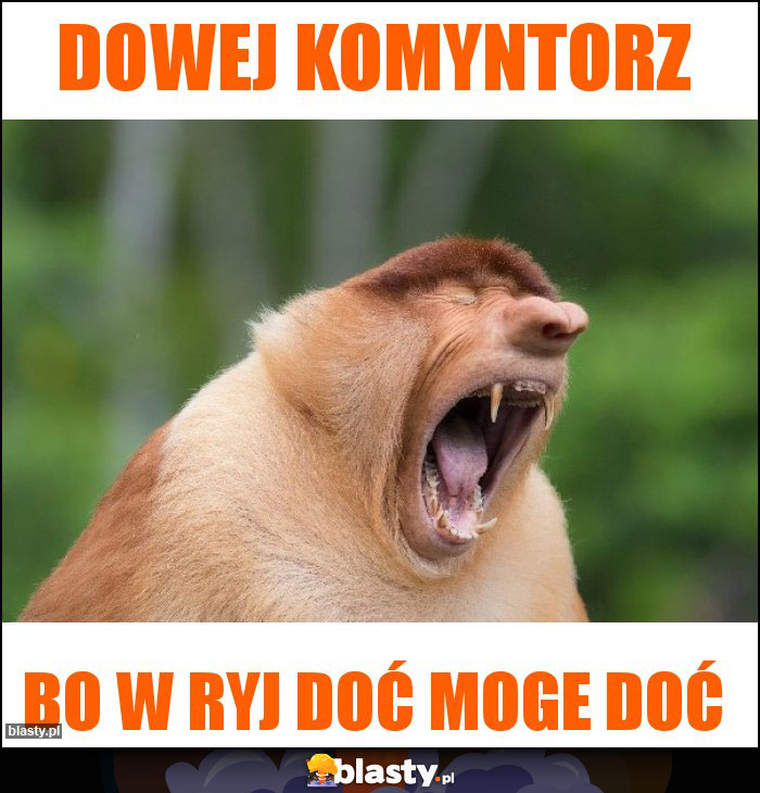 DOWEJ KOMYNTORZ