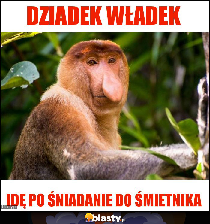 Dziadek Władek