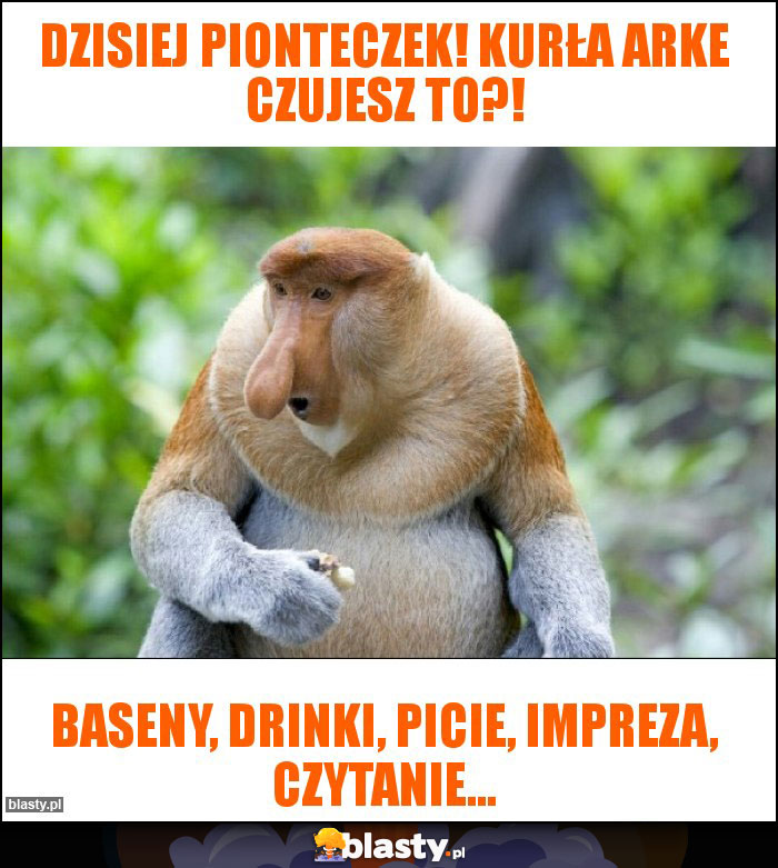 Dzisiej pionteczek! Kurła arke czujesz to?!