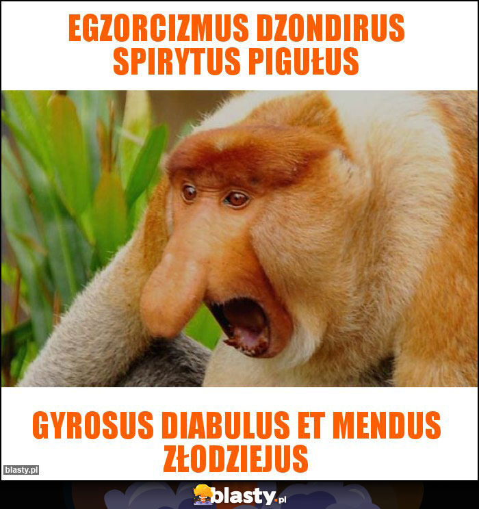 Egzorcizmus dzondirus spirytus pigułus