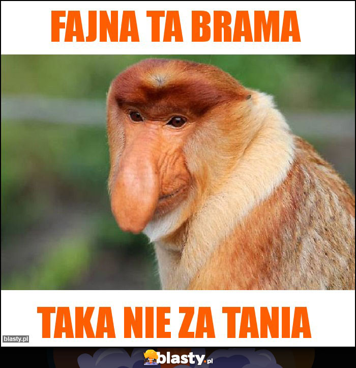 fajna ta brama