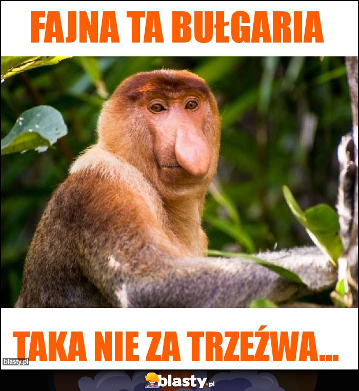 Fajna ta Bułgaria