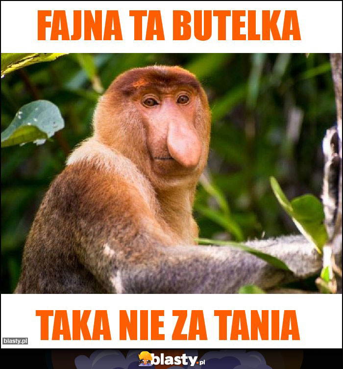 FAJNA TA BUTELKA