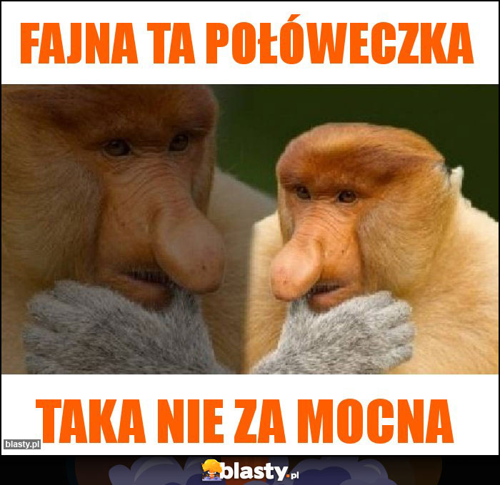 Fajna ta połóweczka