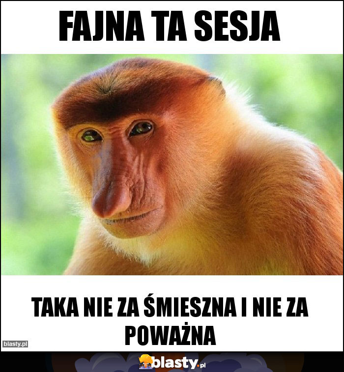 Fajna ta sesja