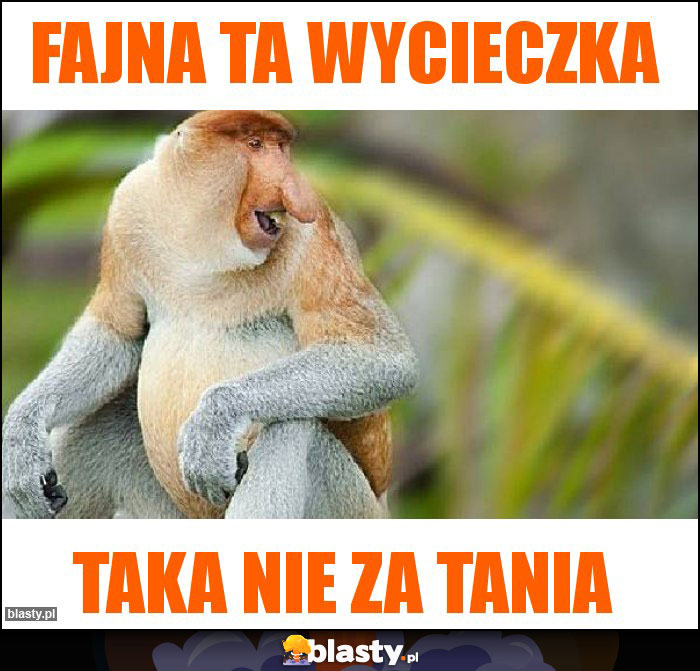 Fajna ta wycieczka