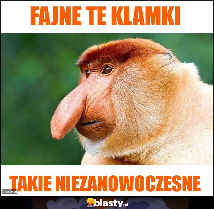 Fajne te klamki