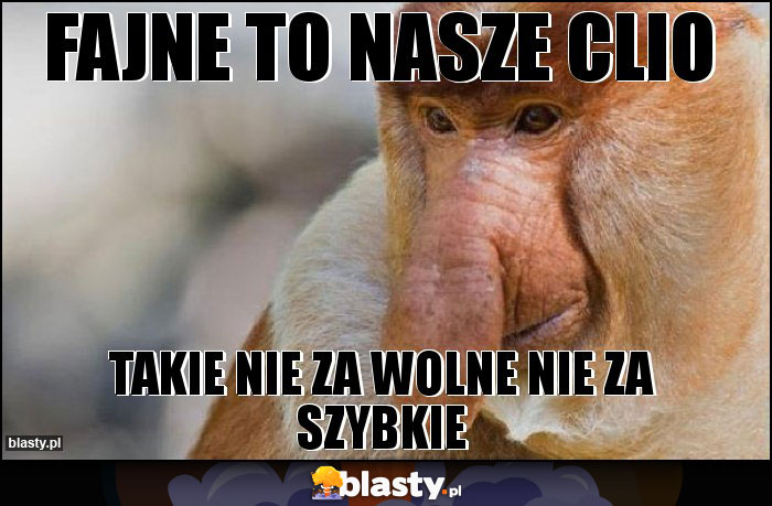 Fajne to nasze clio