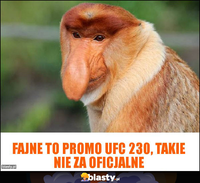 Fajne to promo UFC 230, takie nie za oficjalne