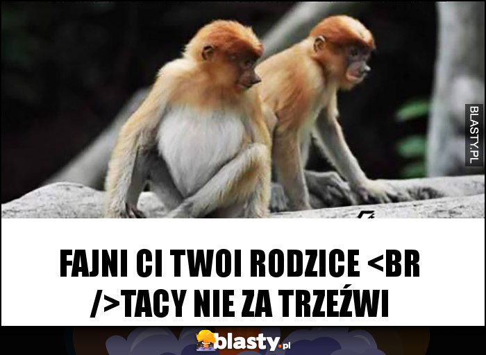 Fajni ci twoi rodzice 
Tacy nie za trzeźwi