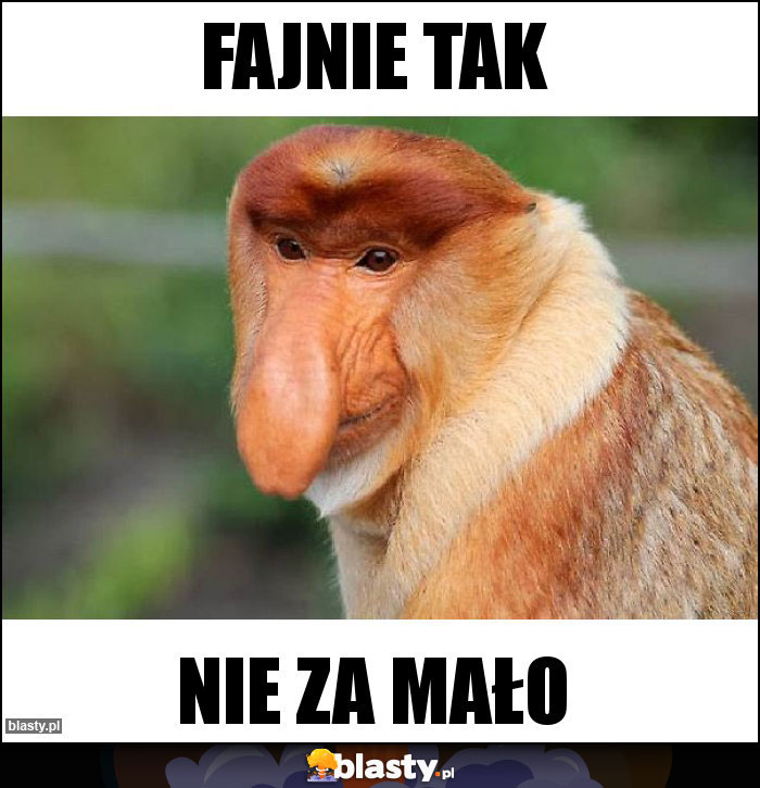 Fajnie tak