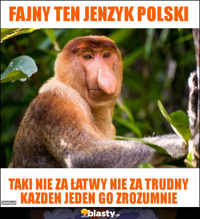 Fajny ten jenzyk polski