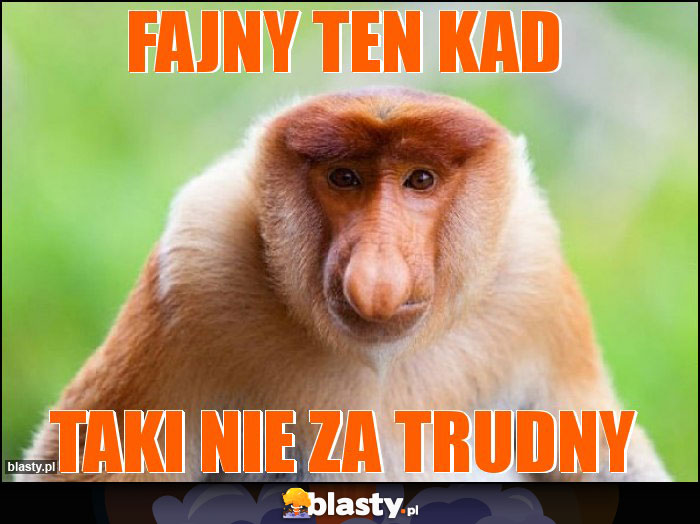 fajny ten kad