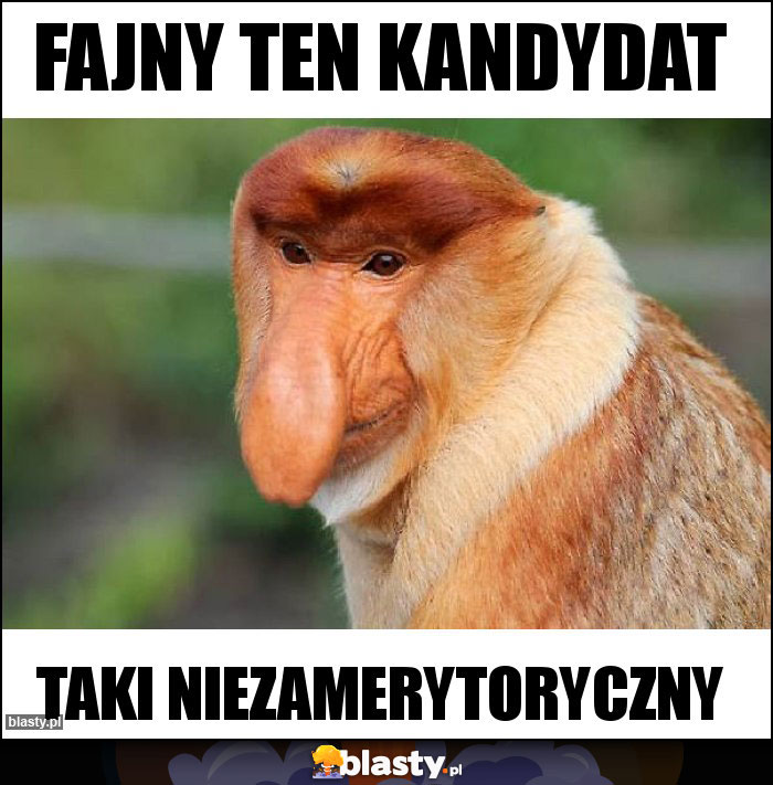 fajny ten kandydat