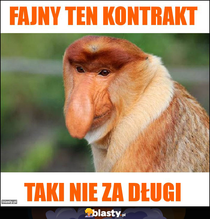 Fajny ten kontrakt