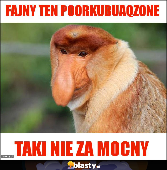 Fajny ten poorKUBUAQzone