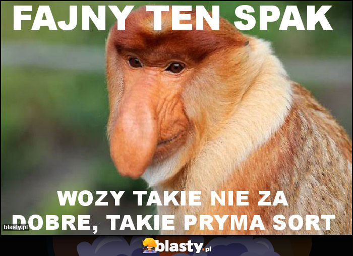 FAJNY TEN SPAK